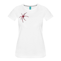 Araignée rayée claire-Tee shirt