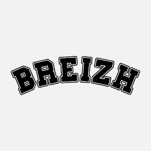 Personnaliser votre tee shirt Breizh College avec ce motif vectoriel  typo college.