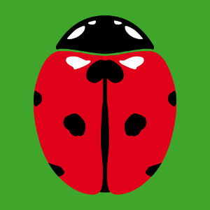 Cadeau Coccinelle trois couleurs  gros points  crer et personnaliser en ligne.