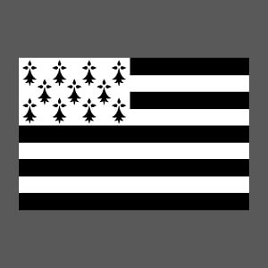 Article Drapeau breton vectoriel simple  crer et personnaliser en ligne.