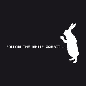 Follow the white rabbit et lapin d'Alice, un design geek et citation de Matrix.