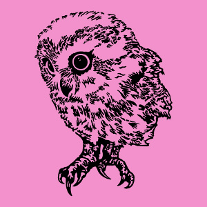 Hibou personnalisable, dessin haute rsolution noir et transparent.