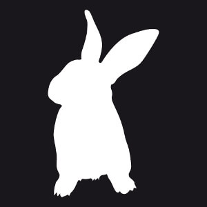 Picto de lapin vectoriel  imprimer en ligne, design animaux et lapins personnalisable.