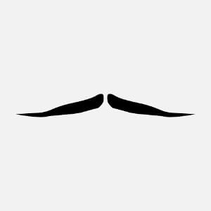 Moustache à personnaliser, à pointes fines.