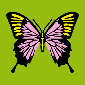 Accessoire Papillon dcoratif dessin en trois couleurs  crer et personnaliser en ligne.