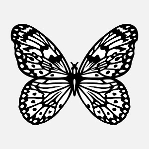 Papillon dessin en noir et blanc en format vectoriel. Le papillon est dessin en aplats blancs et lignes fines, modifiez les couleurs.