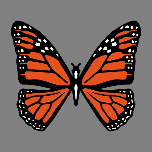 Papillon orange et noir  imprimer en ligne sur t-shirt ou sac. Personnalisez le design et crez un article papillon original.