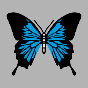 T-shirt Papillon stylis et color dcoratif  personnaliser soi-mme.