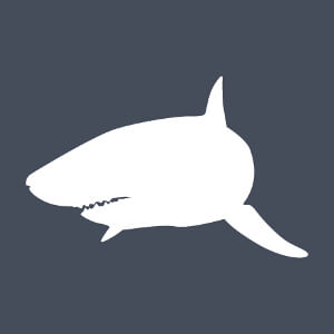 Requin stylisé, design Animaux et océan en picto une couleur.