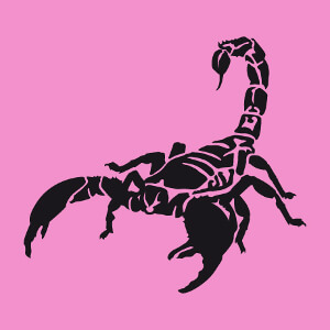 T-shirt Scorpion stylis dessin en dcoupes et aplats unis  imprimer.