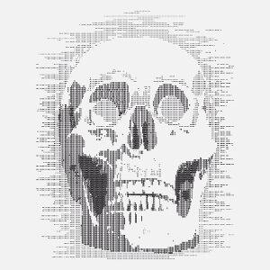 Tte de mort geek en art ascii, dessine de face.