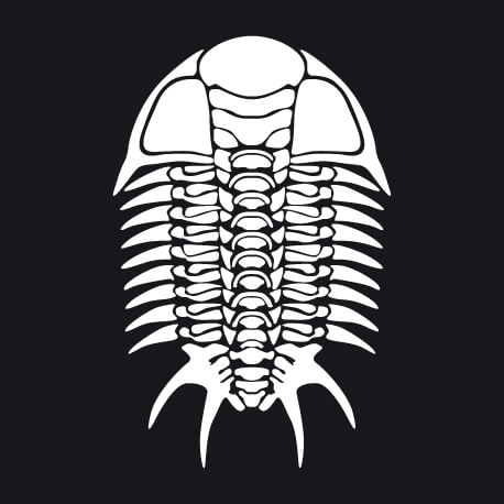 T-shirt Squelette de trilobite graphique une couleur customis.