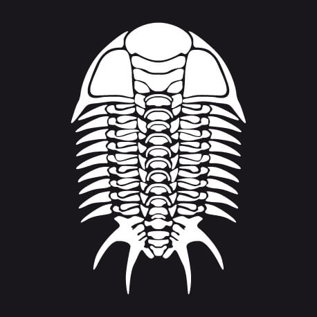 T-shirt Squelette de trilobite graphique une couleur customis.