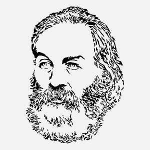 Portrait de Walt Whitman, une illustration crivain et posie.