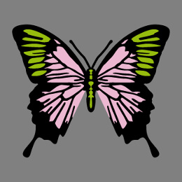 Papillons personnalisables  imprimer en ligne, sur t-shirt, tasse, etc.