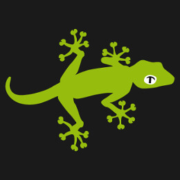 Reptiles, geckos, animaux  personnaliser en ligne.