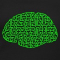 Circonvolutions de cerveau formant un labyrinthe.