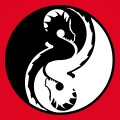 Symbole chinois yin yang composé de deux dragons lovés formant un cercle.