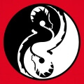 Symbole chinois yin yang compos de deux dragons lovs formant un cercle.