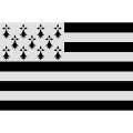 Drapeau breton vectoriel simple à personnaliser.