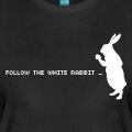 Follow the white rabbit, lapin blanc et typo pixels.