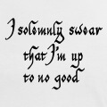 I solemnly swear that I am up to no good, formule tire de Harry Potter.