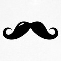 Moustache anglaise à boucles et reflet clair.