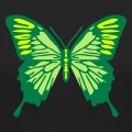 Papillon dcoratif dessin en trois couleurs.