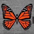 Papillon orange noir et blanc  personnaliser en ligne.