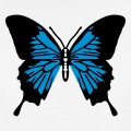 Papillon stylis et color dcoratif, ailes dployes.