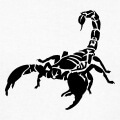 Scorpion stylisé dessiné en découpes et aplats unis.