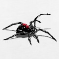 Veuve noire et ombre, araignée dessinée de profil avec deux pattes levées en position de défense ou d'attaque.